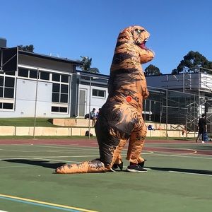 Meet your Posher, Ginnel